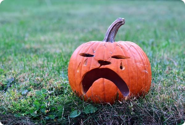 Mystery Symptoms Haunting Your Eyes? Let's Talk Common Conditions