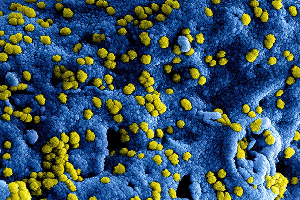 Exploring a Multimodal Approach to Biofilm Disruption